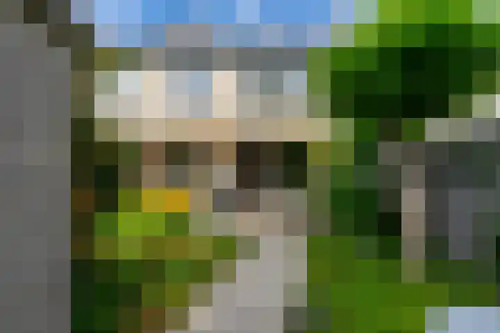 Kruidenschans 114 Voorhout thumbnail 32