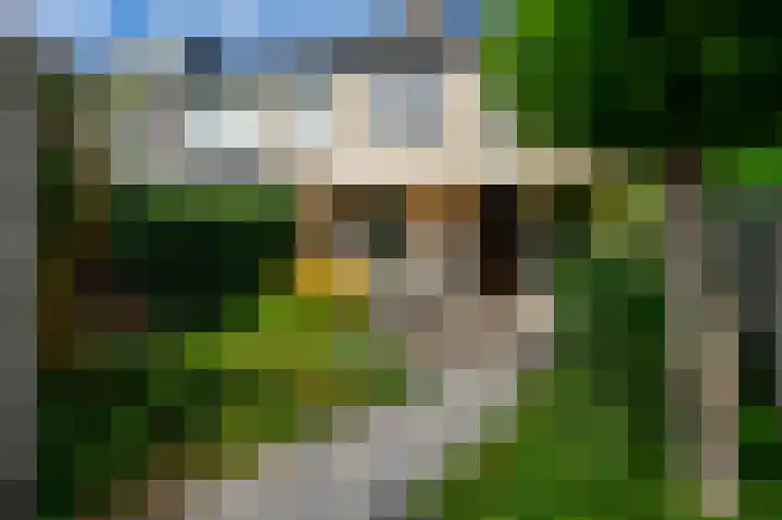 Kruidenschans 114 Voorhout thumbnail 33