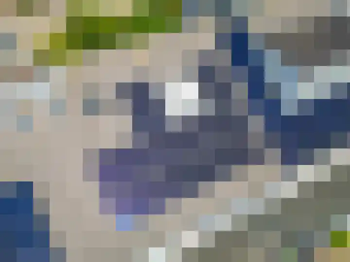 Kruidenschans 114 Voorhout thumbnail 34