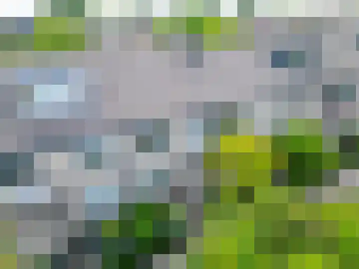 Kruidenschans 114 Voorhout thumbnail 36