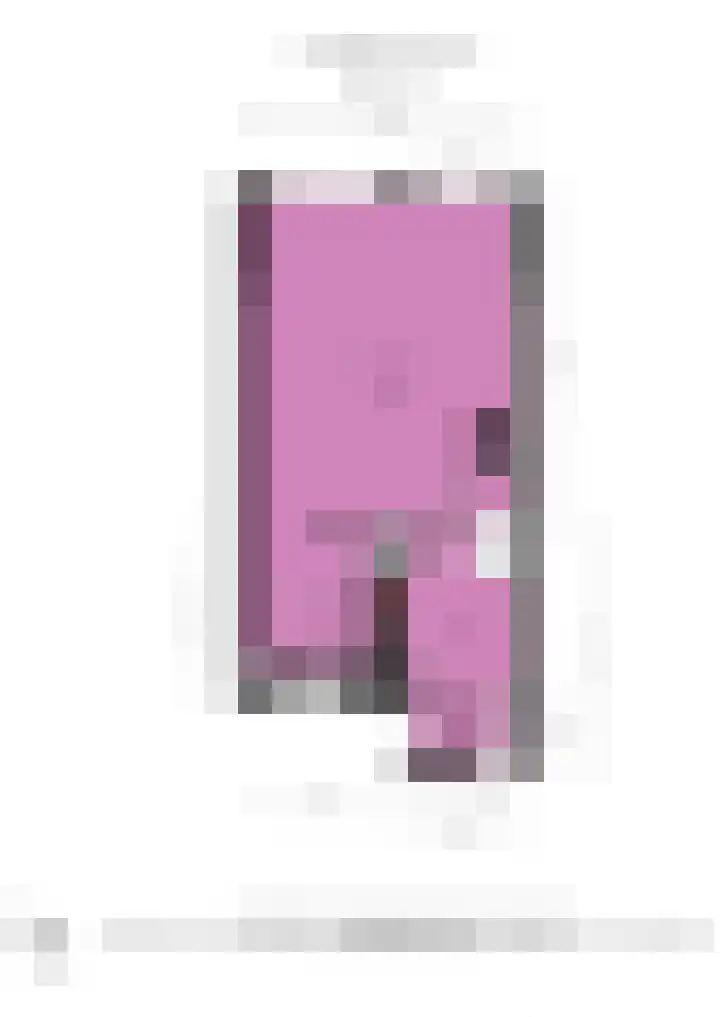 Kruidenschans 114 Voorhout thumbnail 38