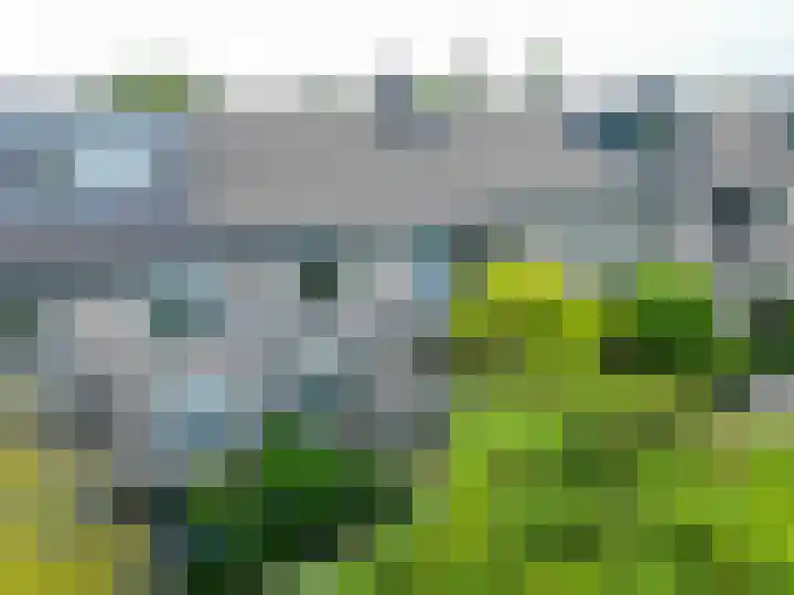 Kruidenschans 114 Voorhout thumbnail 42