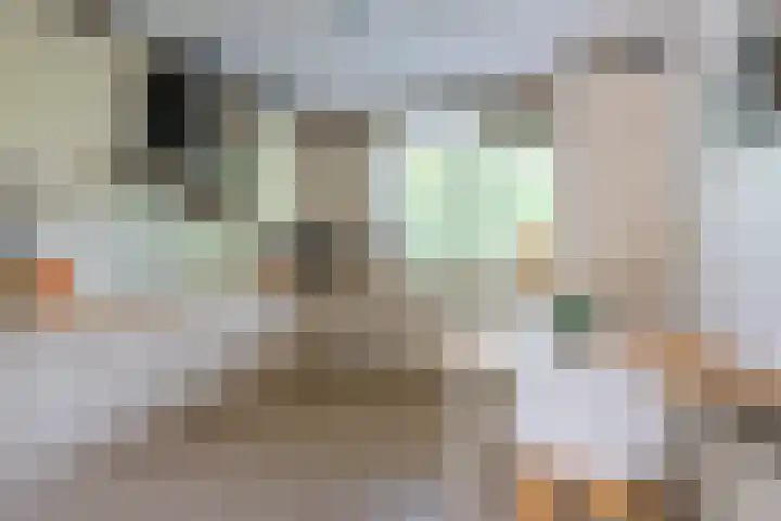 Kruidenschans 114 Voorhout thumbnail 5