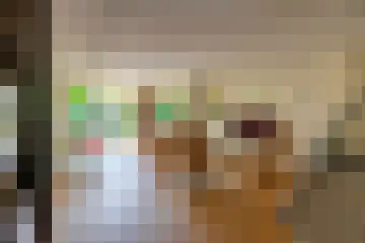 Kruidenschans 114 Voorhout thumbnail 7