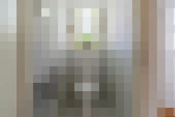 Kruidenschans 114 Voorhout thumbnail 9