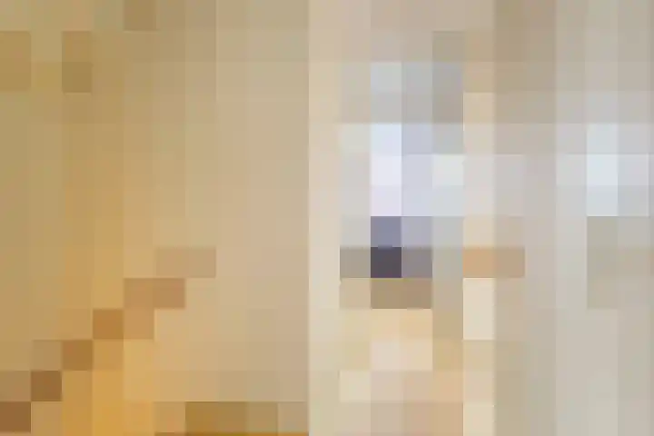 Kruidenschans 123 Voorhout thumbnail 14