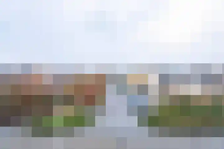 Kruidenschans 123 Voorhout thumbnail 27