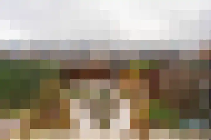 Kruidenschans 123 Voorhout thumbnail 28