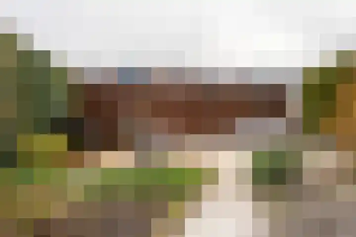 Kruidenschans 123 Voorhout thumbnail 29