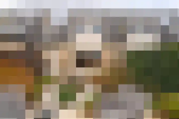 Kruidenschans 123 Voorhout thumbnail 31