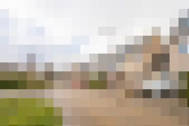 Kruidenschans 123 Voorhout thumbnail 34