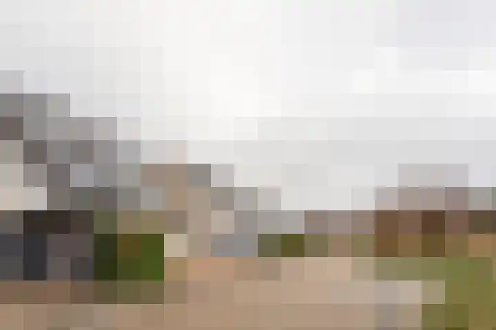 Kruidenschans 123 Voorhout thumbnail 35