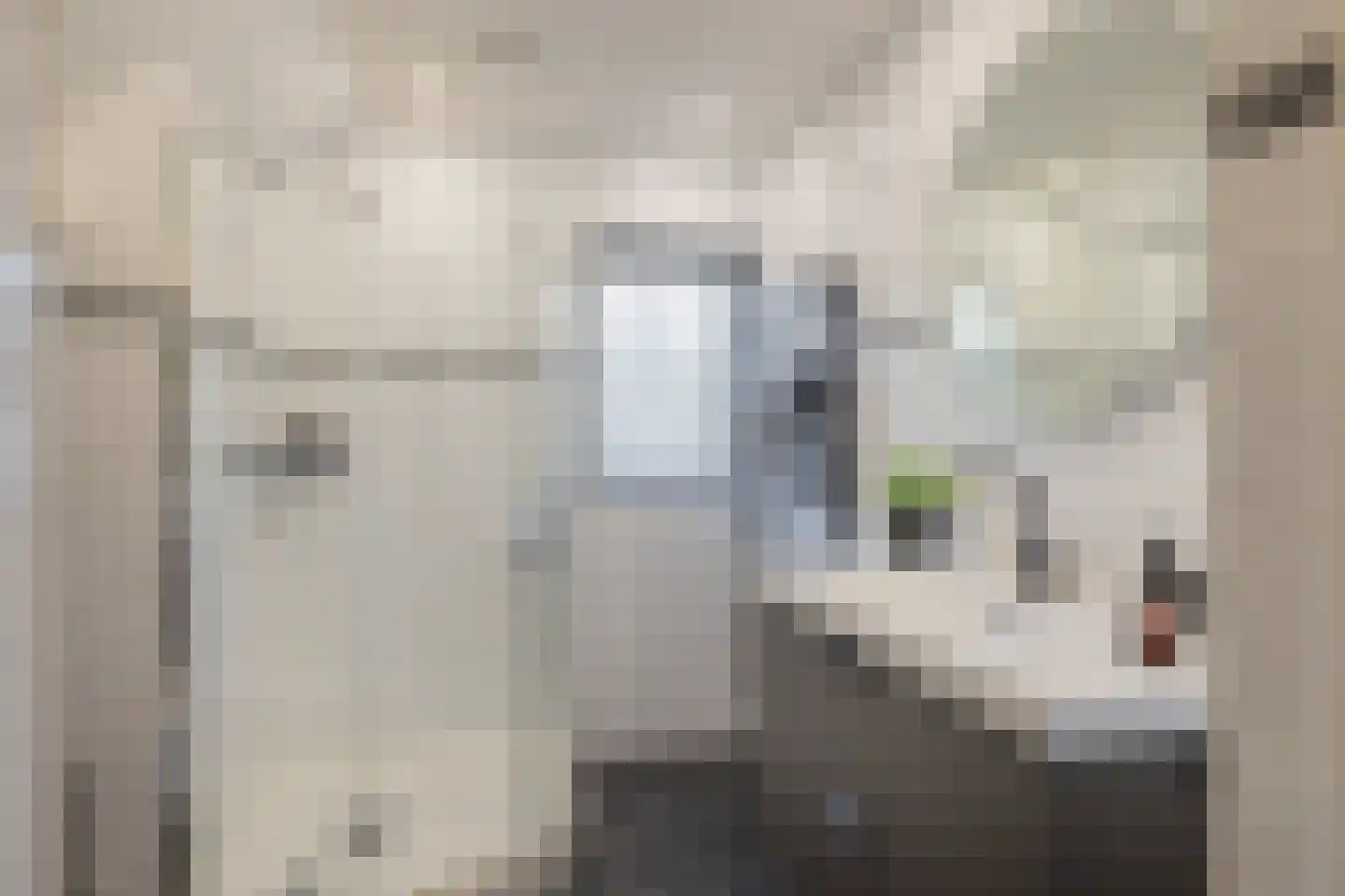 Kruidenschans 151 Voorhout thumbnail 31