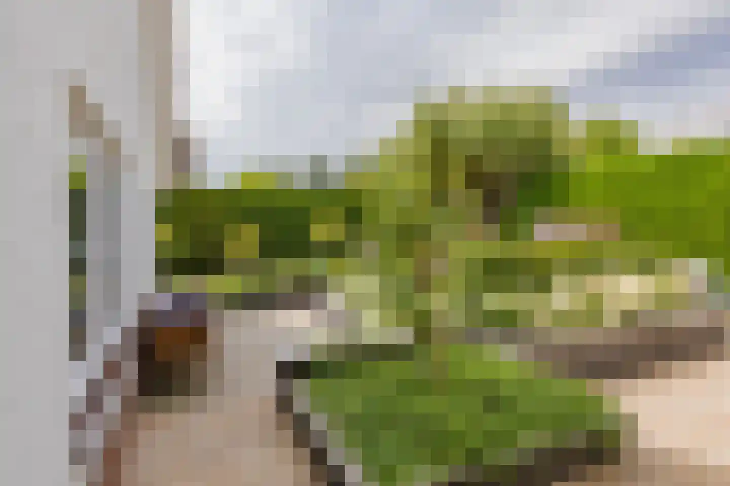Kruidenschans 151 Voorhout thumbnail 45