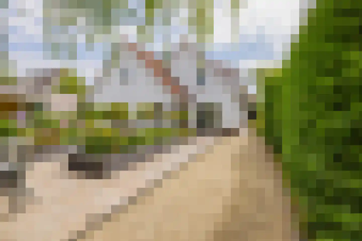 Kruidenschans 151 Voorhout thumbnail 46