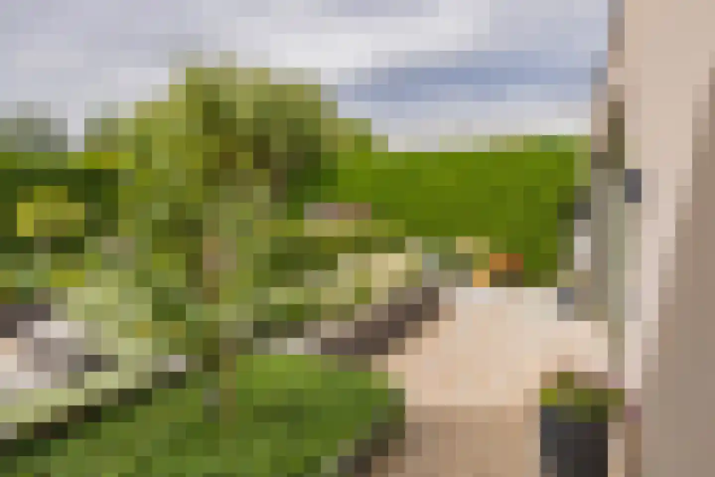 Kruidenschans 151 Voorhout thumbnail 47