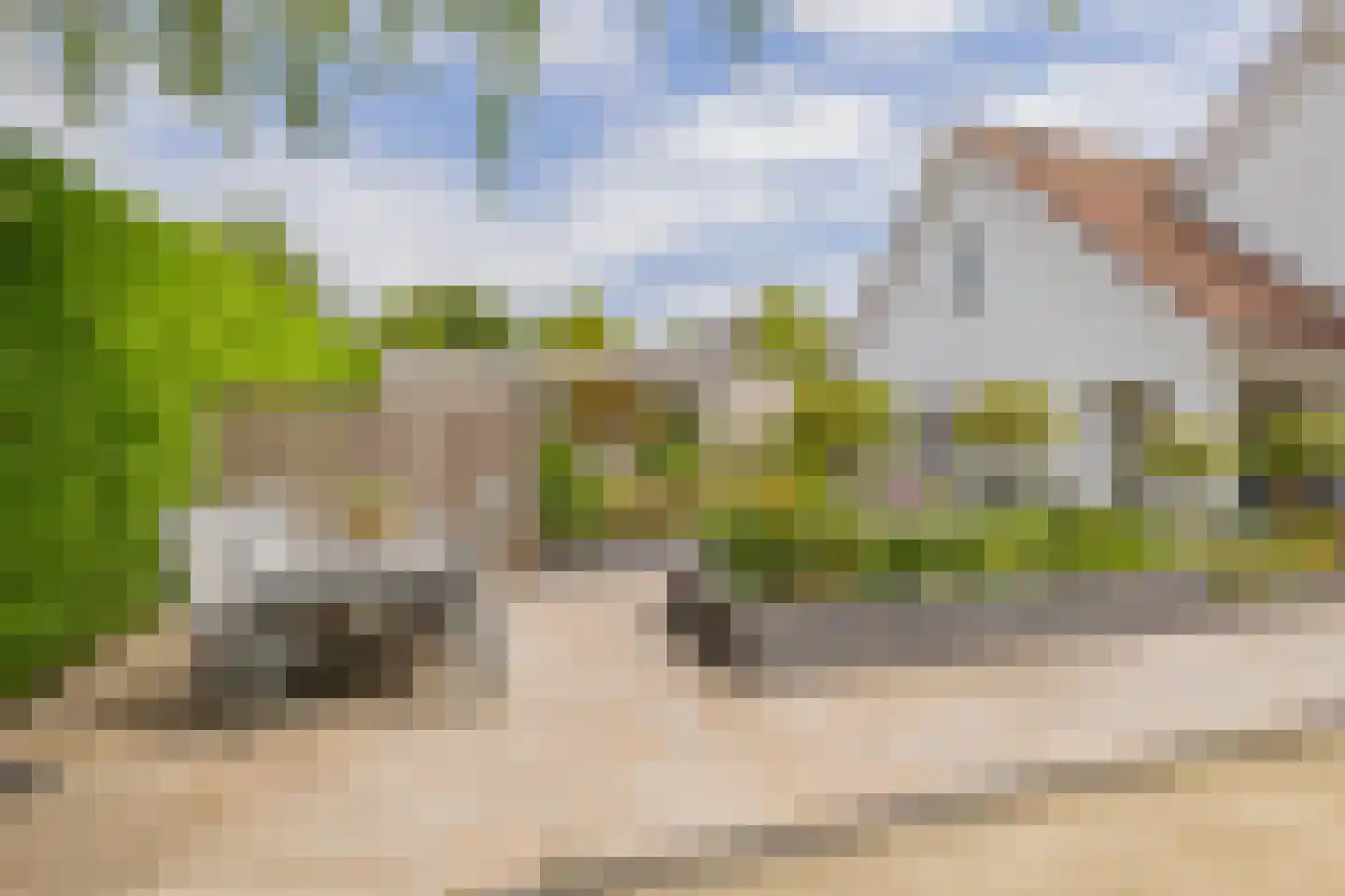 Kruidenschans 151 Voorhout thumbnail 48