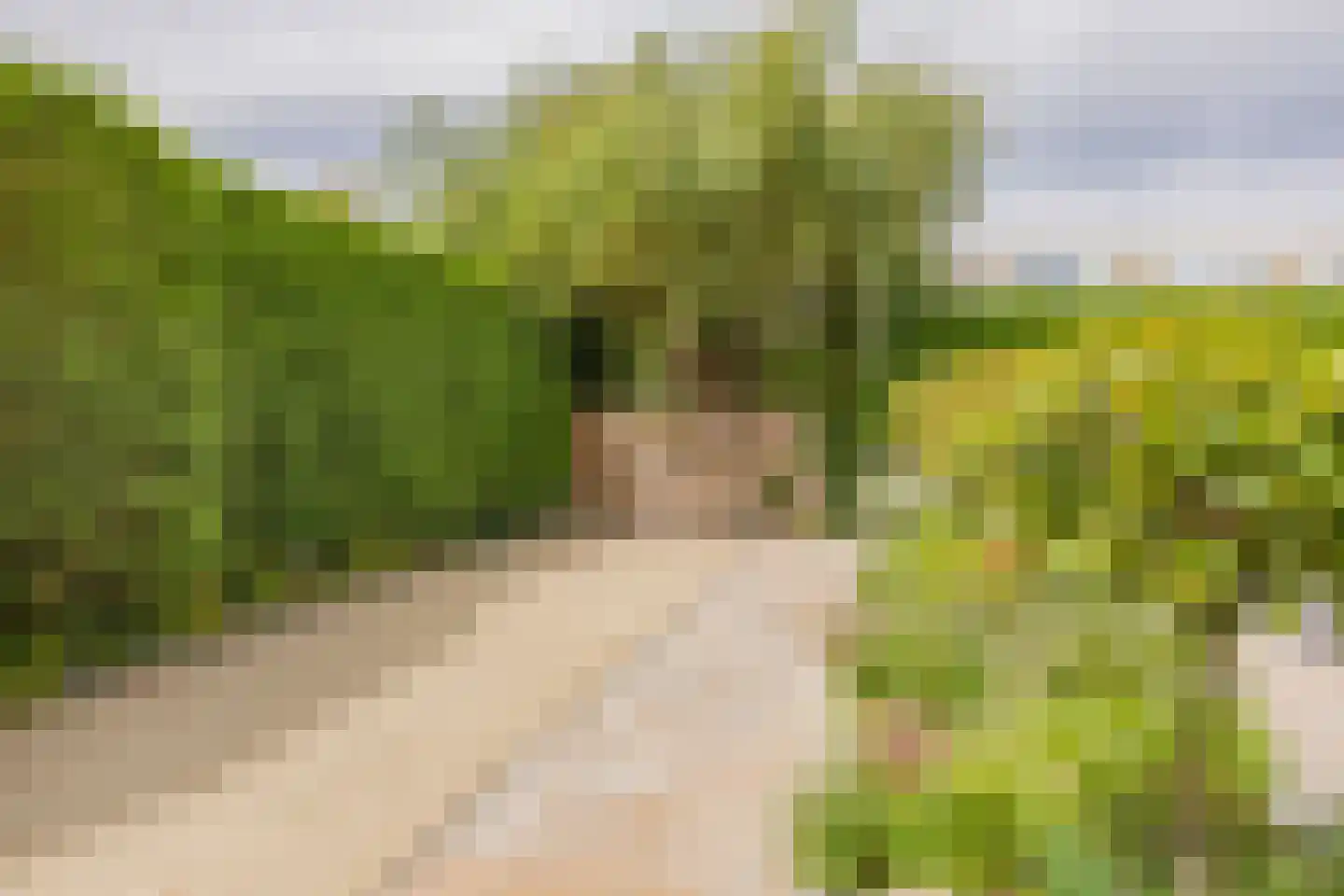 Kruidenschans 151 Voorhout thumbnail 49