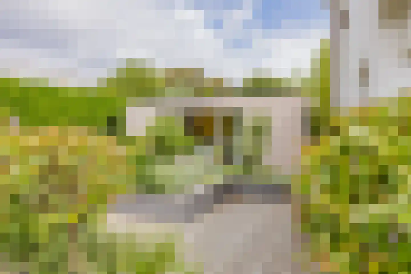 Kruidenschans 151 Voorhout thumbnail 50