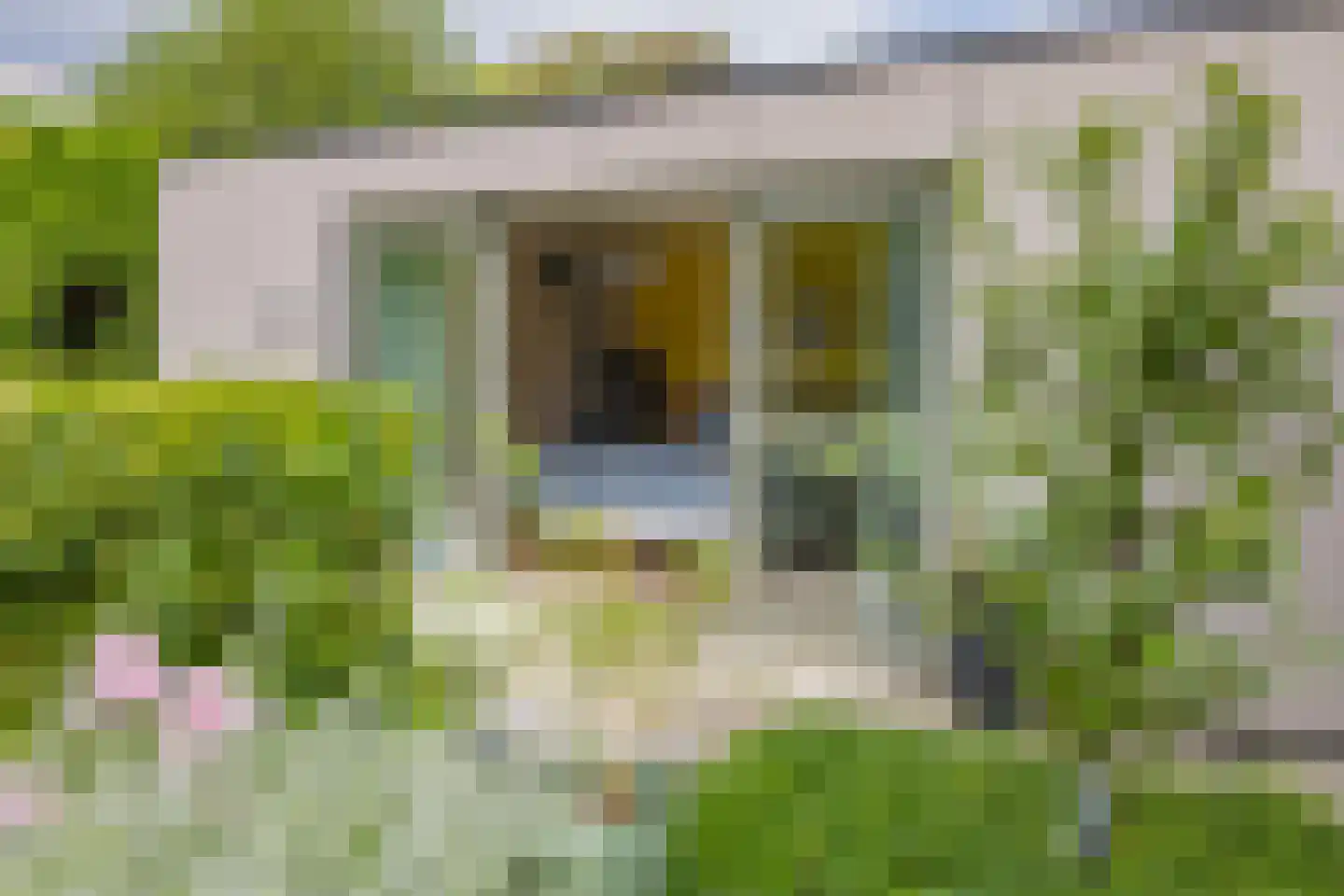 Kruidenschans 151 Voorhout thumbnail 51