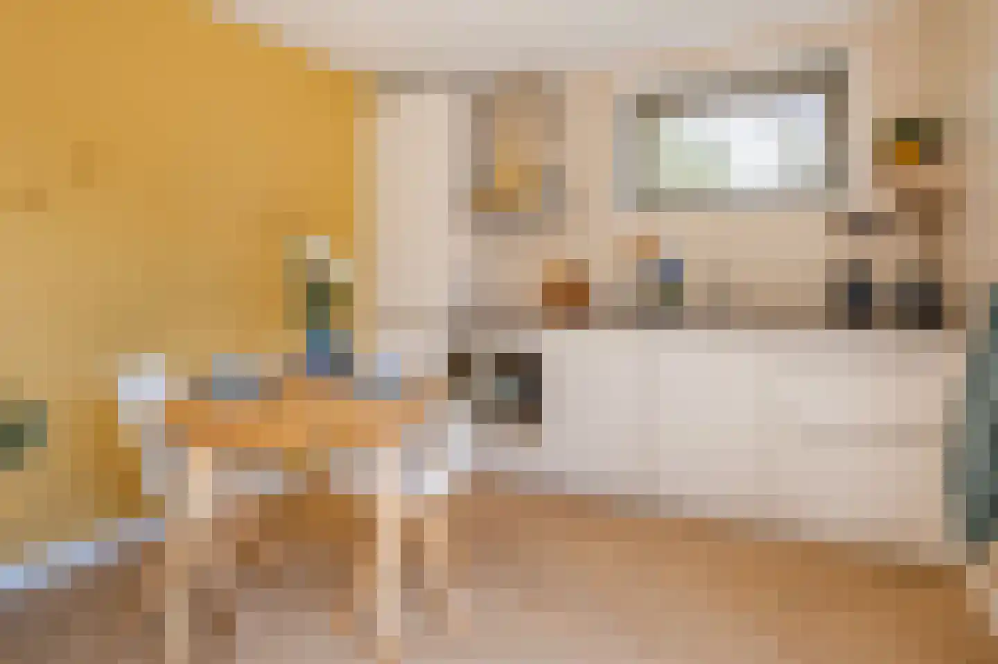 Kruidenschans 151 Voorhout thumbnail 54