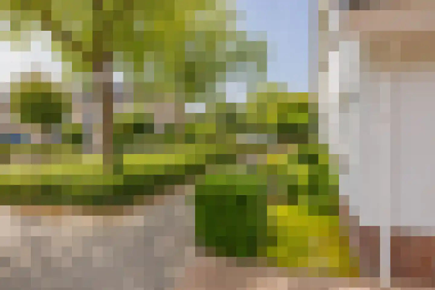 Kruidenschans 151 Voorhout thumbnail 6