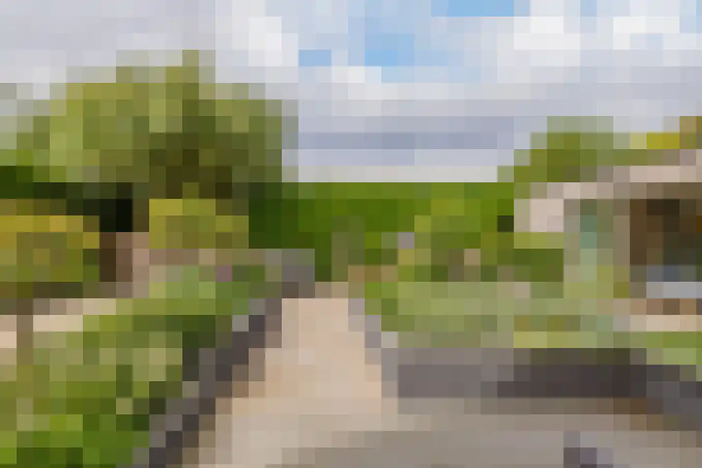 Kruidenschans 151 Voorhout thumbnail 60