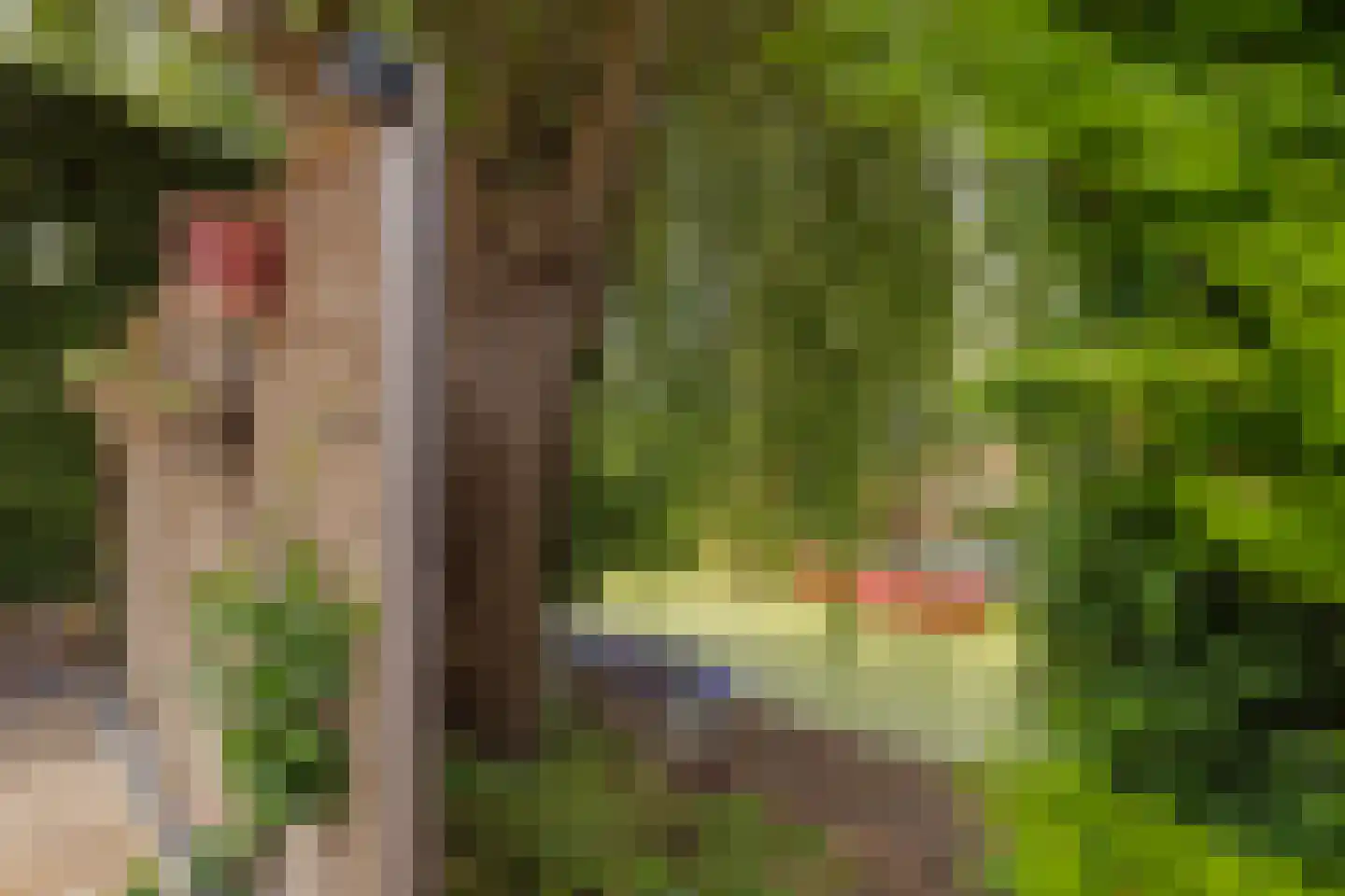 Kruidenschans 151 Voorhout thumbnail 61