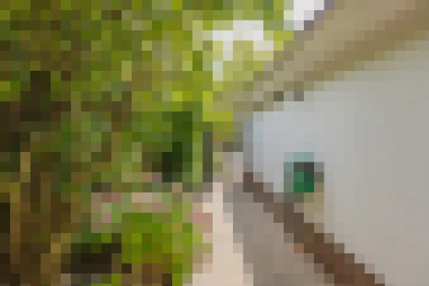 Kruidenschans 151 Voorhout thumbnail 65