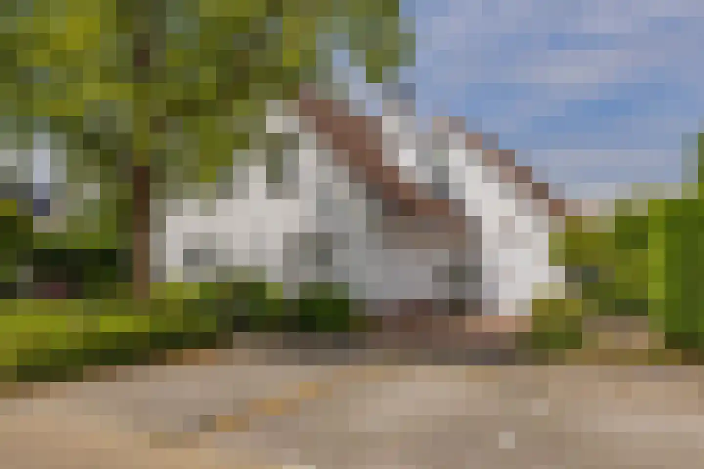Kruidenschans 151 Voorhout thumbnail 67