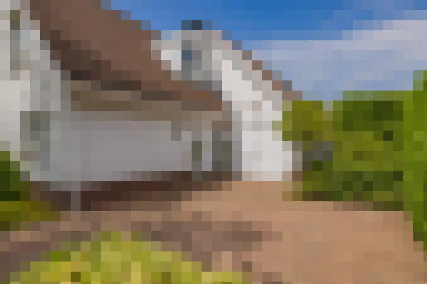 Kruidenschans 151 Voorhout thumbnail 7
