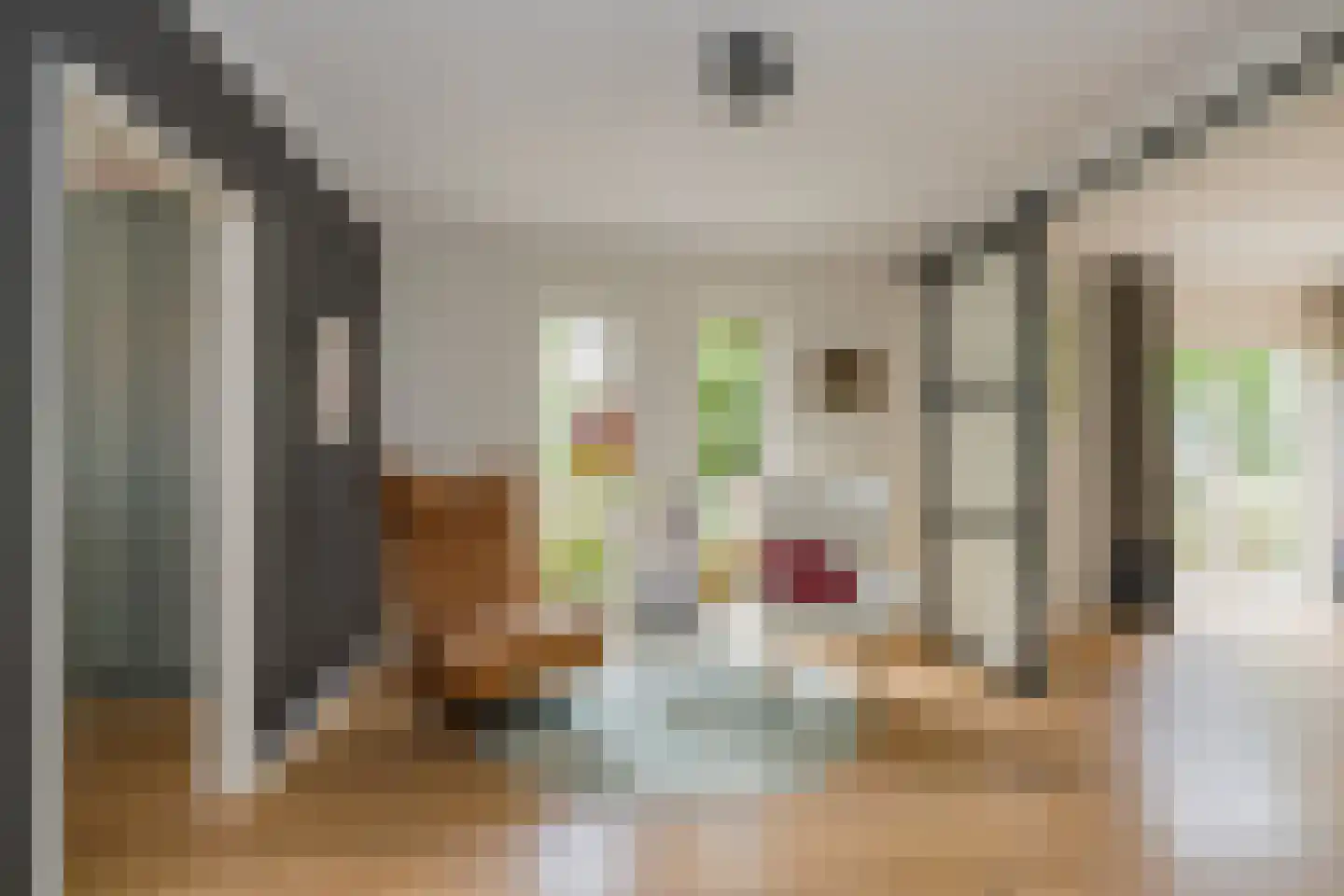 Kruidenschans 151 Voorhout thumbnail 9