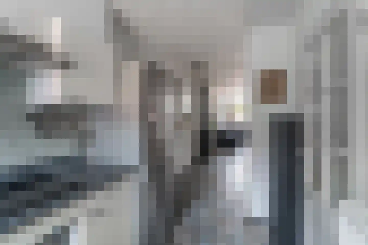 Kruidenschans 18 Voorhout thumbnail 10