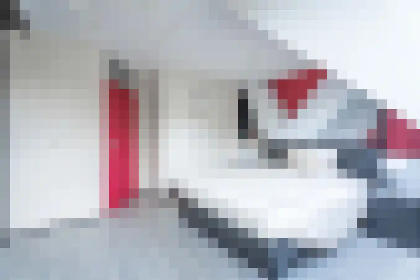 Kruidenschans 18 Voorhout thumbnail 12