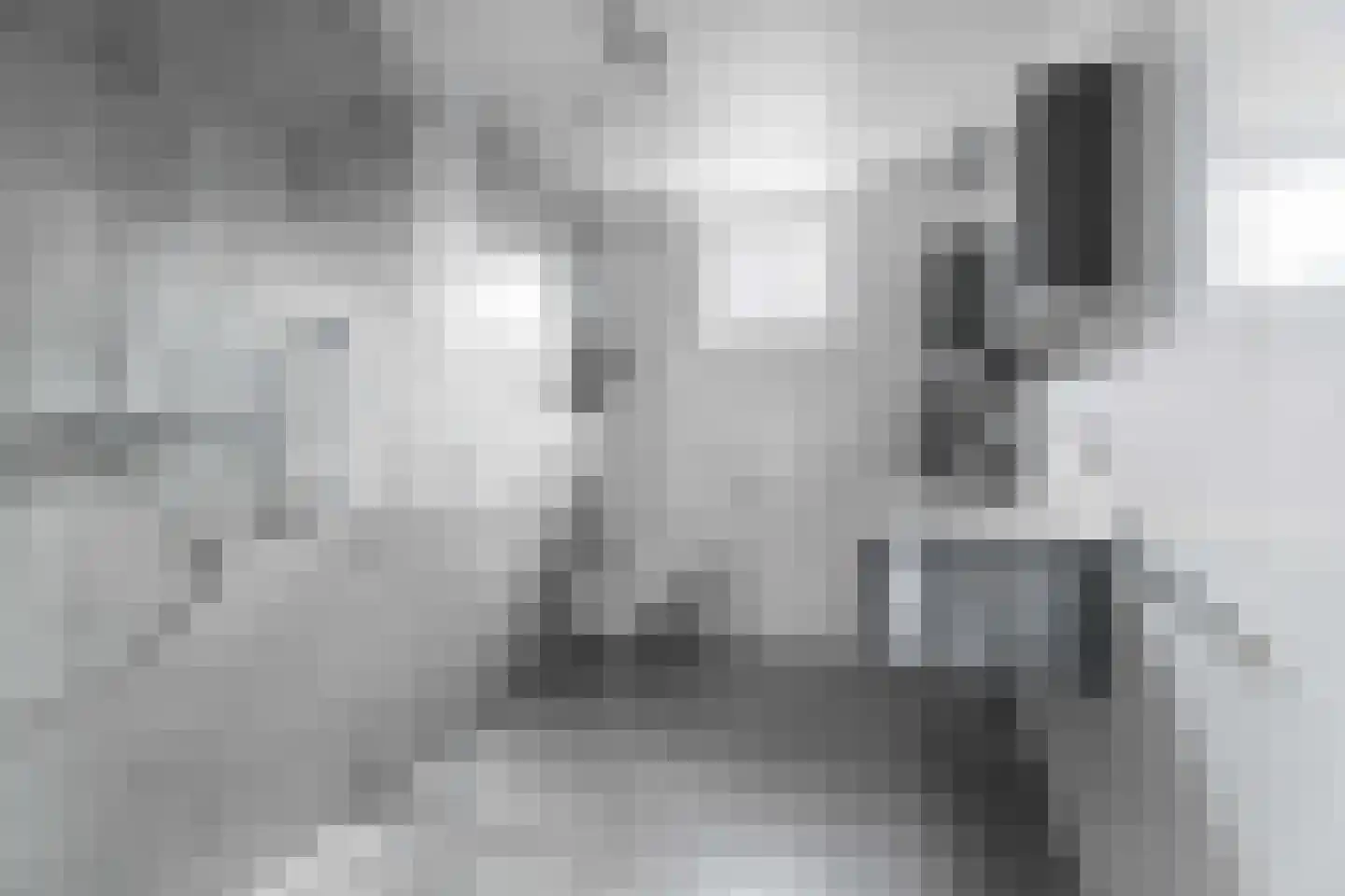 Kruidenschans 18 Voorhout thumbnail 17