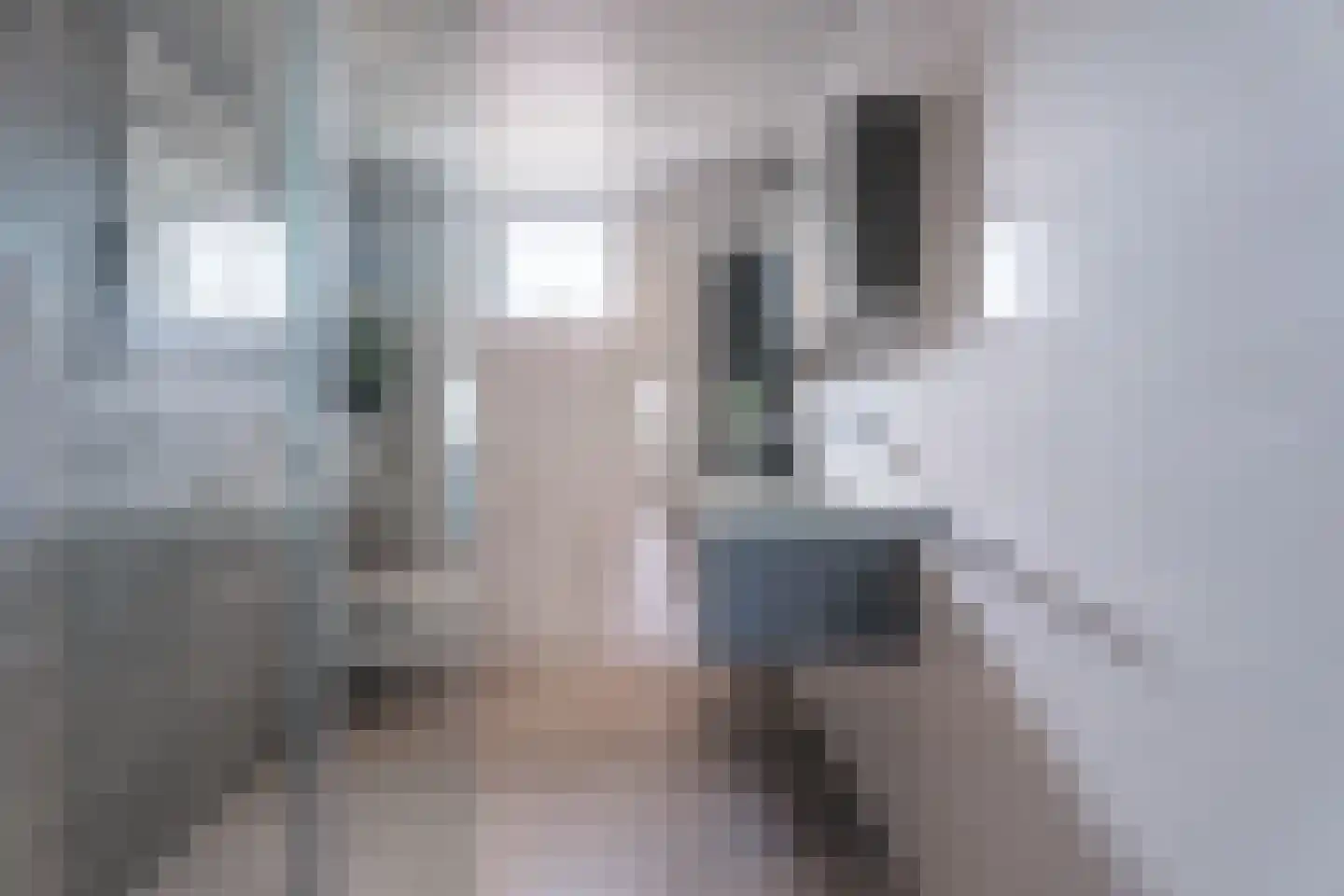 Kruidenschans 18 Voorhout thumbnail 18