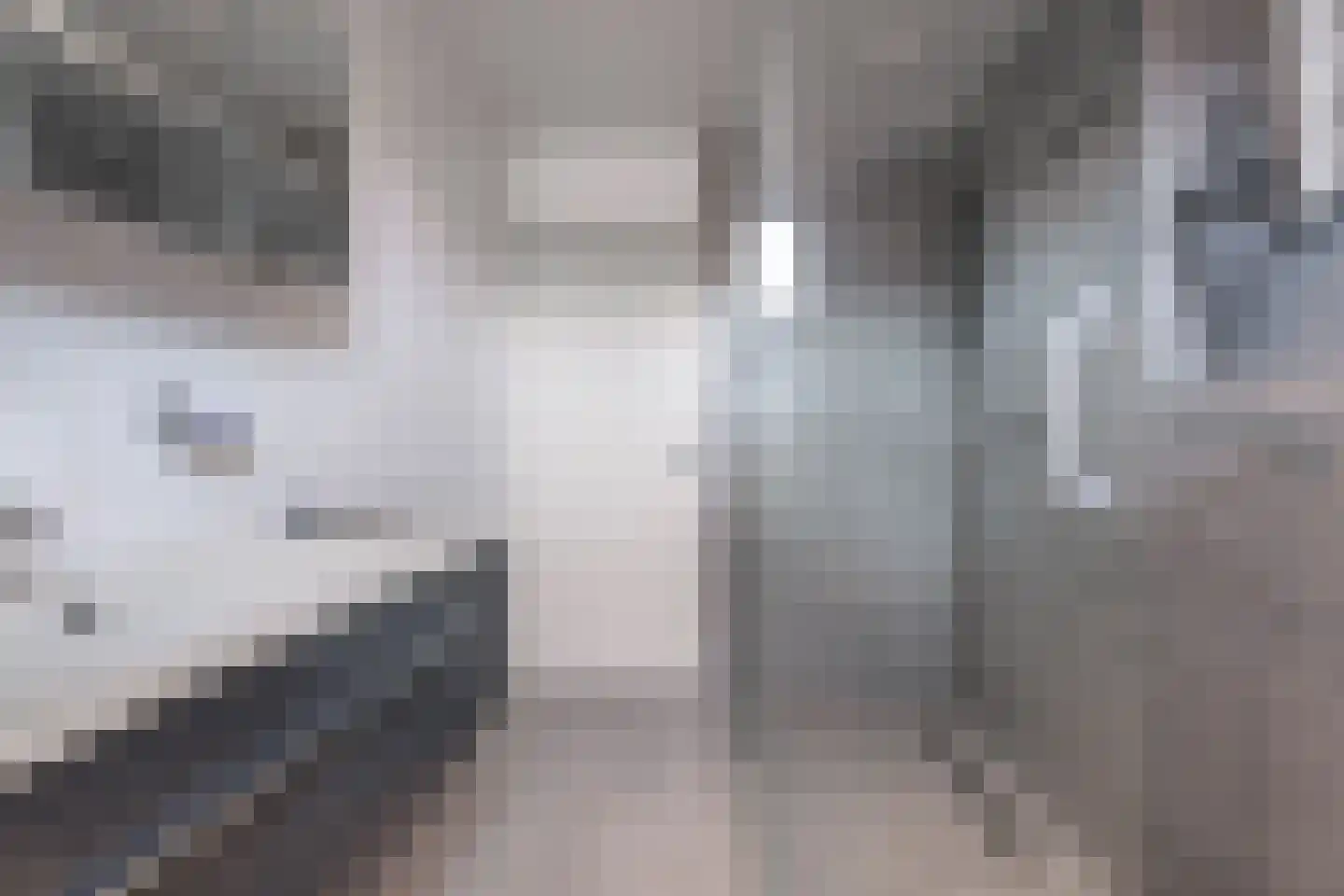 Kruidenschans 18 Voorhout thumbnail 20