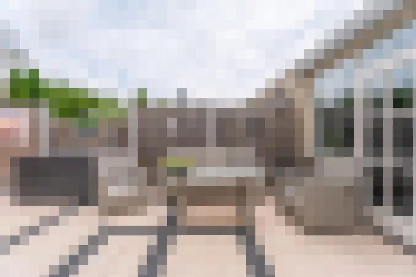 Kruidenschans 18 Voorhout thumbnail 25