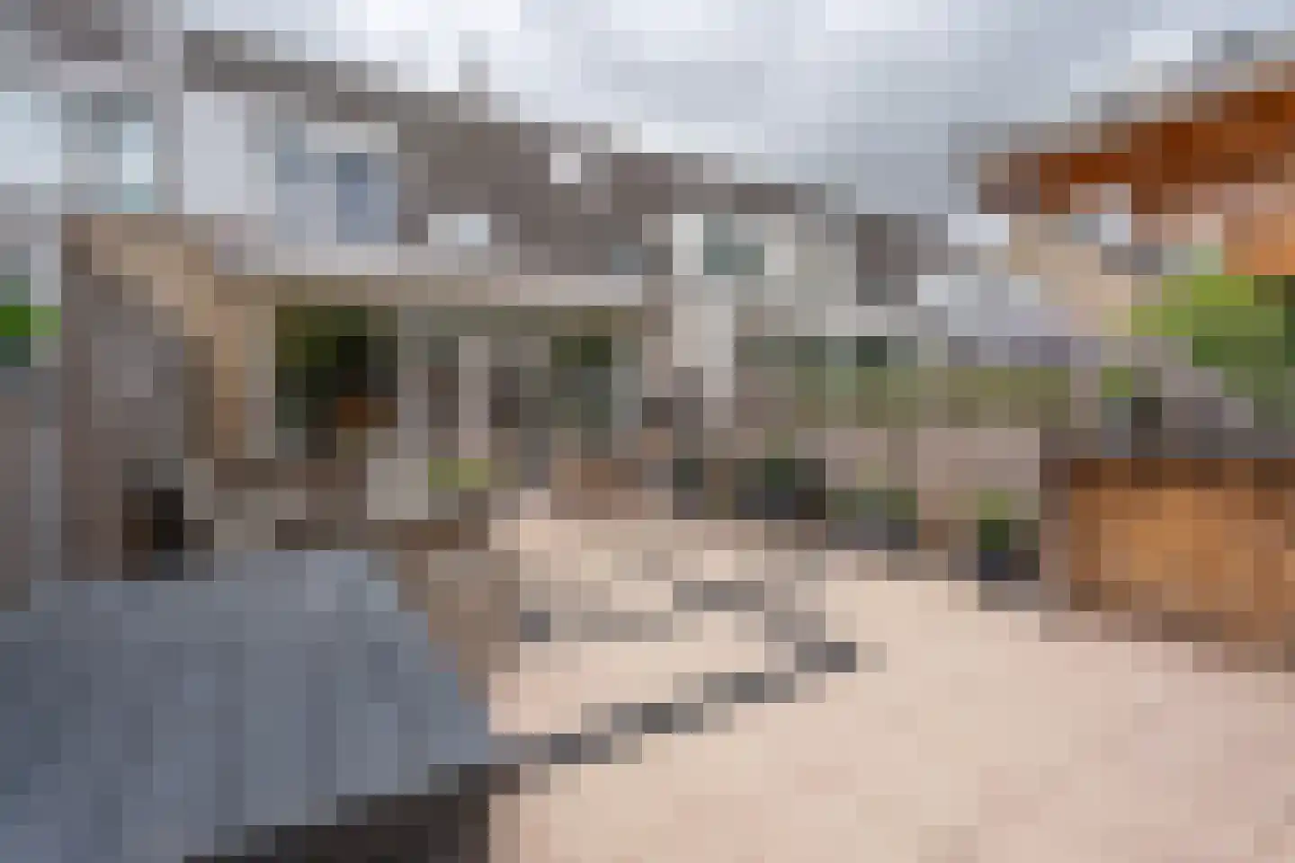 Kruidenschans 18 Voorhout thumbnail 26