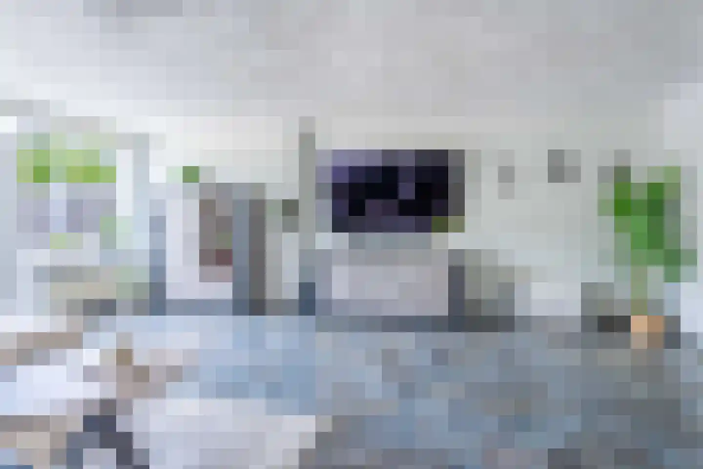 Kruidenschans 18 Voorhout thumbnail 5