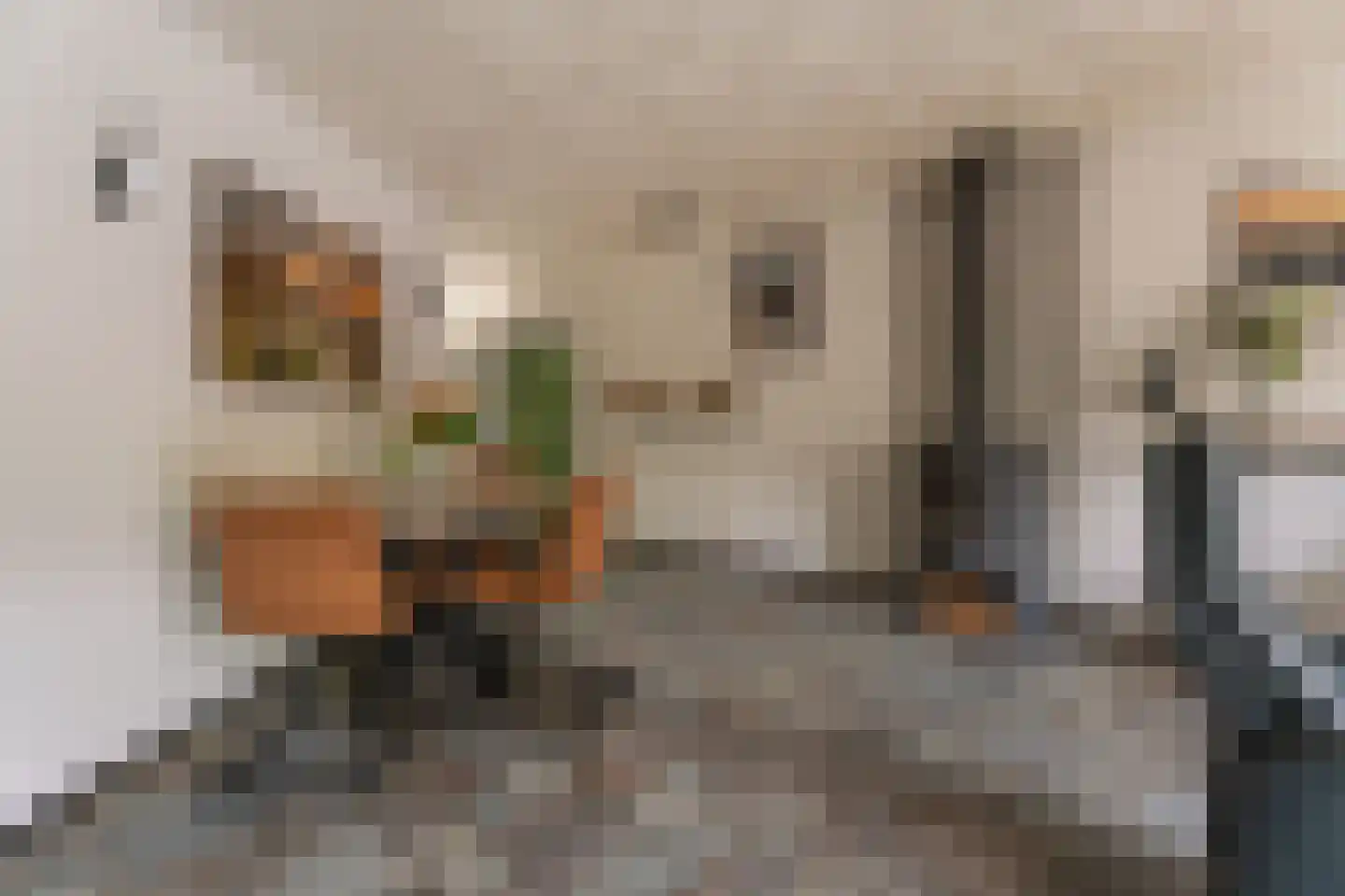 Kruidenschans 18 Voorhout thumbnail 7