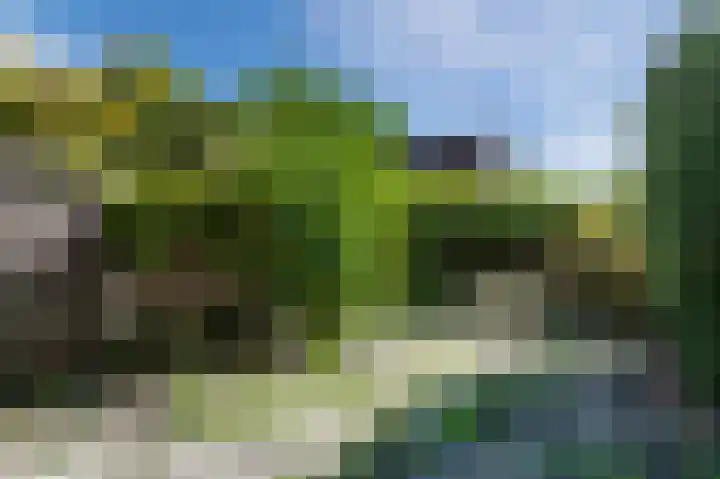 Kruidenschans 27 Voorhout thumbnail 25