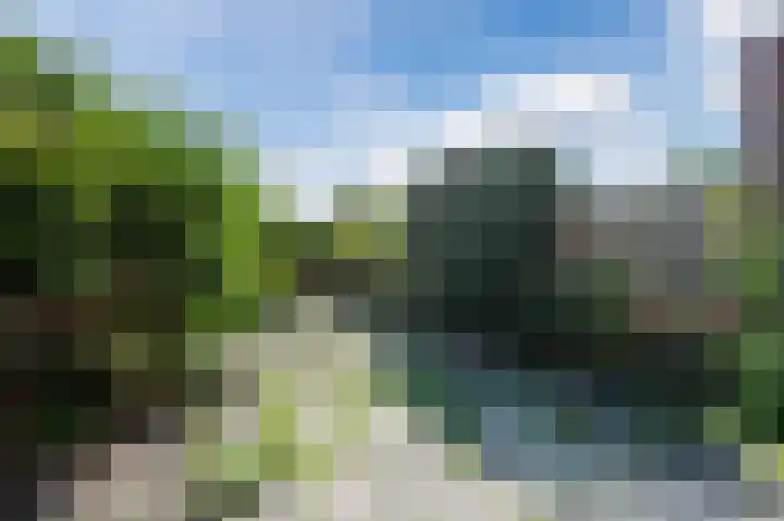 Kruidenschans 27 Voorhout thumbnail 26
