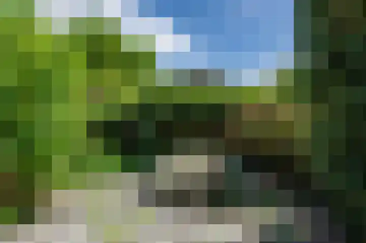 Kruidenschans 27 Voorhout thumbnail 27