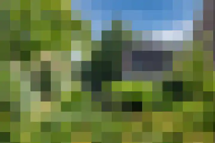Kruidenschans 27 Voorhout thumbnail 28