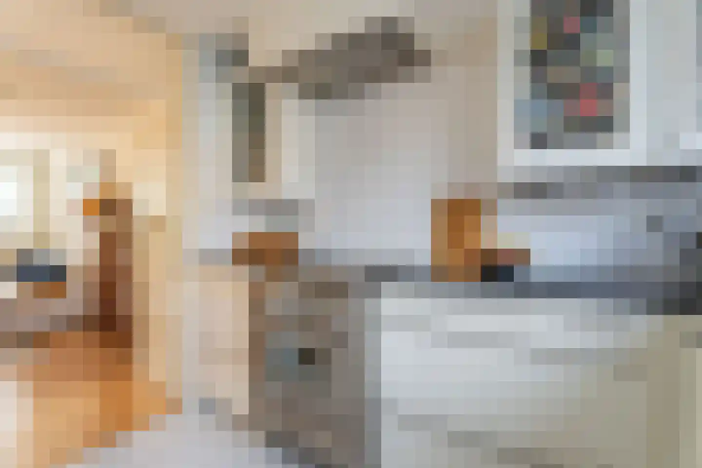 Kruidenschans 29 Voorhout thumbnail 14