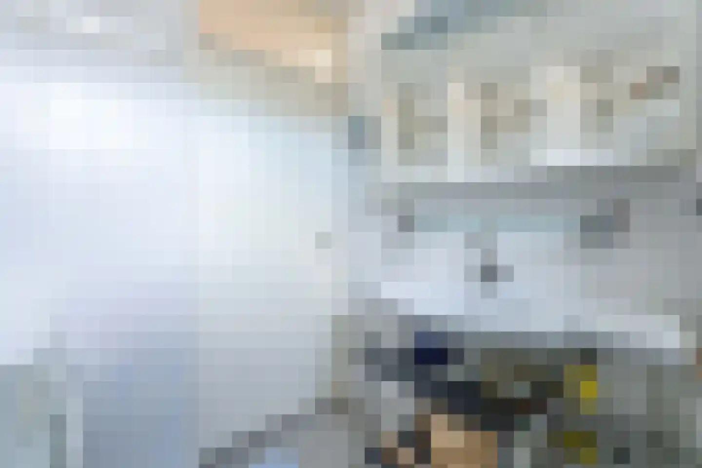 Kruidenschans 29 Voorhout thumbnail 24