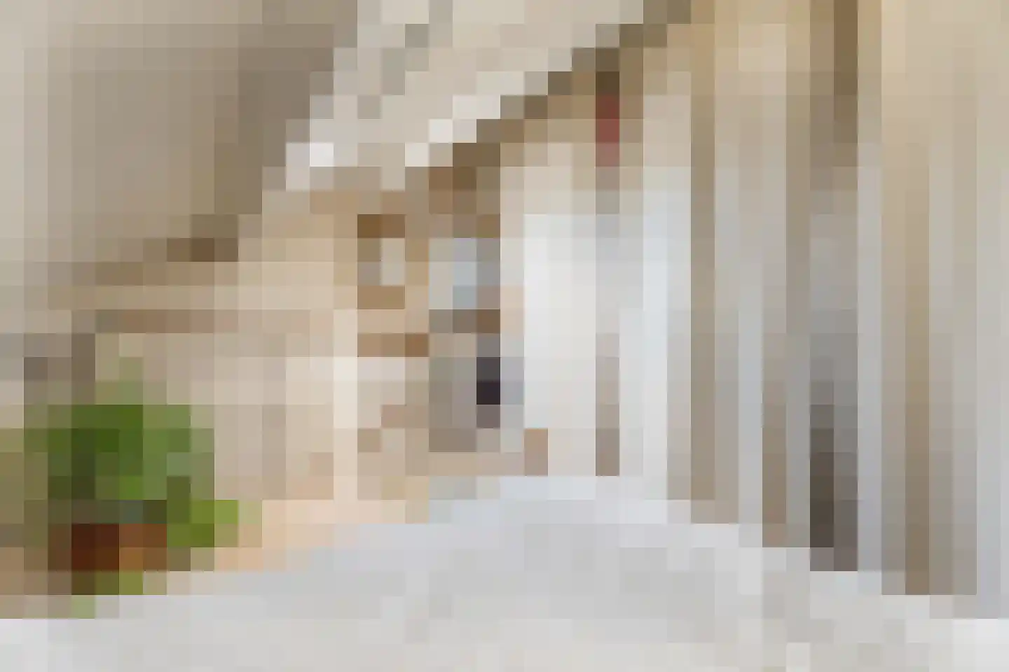 Kruidenschans 29 Voorhout thumbnail 28