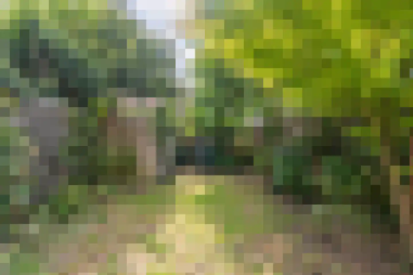 Kruidenschans 29 Voorhout thumbnail 30