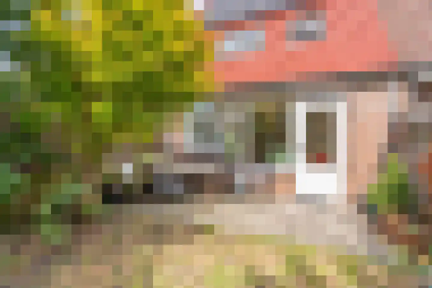 Kruidenschans 29 Voorhout thumbnail 31